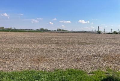 Teren Aeroport Clinceni - 4