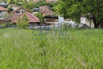 Teren intravilan, 1663 mp, central Dezmir Teren intravilan, 1663 mp, central Dezmir - 5