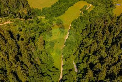 COMISION 0% Teren Bradet 7300 + 6000 mp/ Sacele /Intravilan - 2