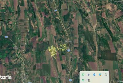 Teren de 700000 mp, în Berești-Meria - 5