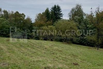 Teren intravilan, cu PUZ, Bran Tohanita, pârâu, pădure și priveliște de vis Teren intravilan, cu PUZ, Bran Tohanita, pârâu, pădure și priveliște de vis - 6