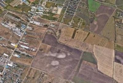 Teren extravilan cota parte 1/2, Magurele, ID: R2641535 - 6