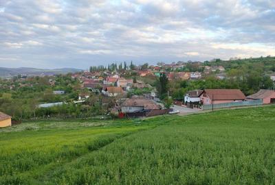 Teren de 2983 mp, în Târnăveni - 4