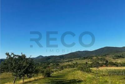Casă cu 2 camere cu Teren 4000 Mp în Budureasa - 5