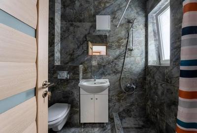 Apartament cu 2 camere de inchiriat in zona Micalaca - 6