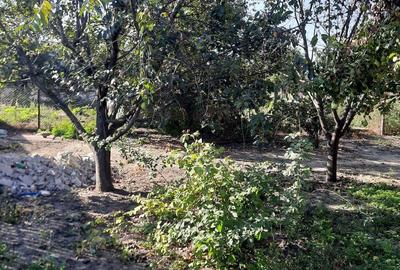 Casă cu 3 camere în Dumbrăveni - 8