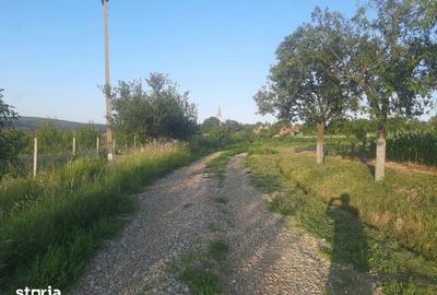 Teren de 894 mp, în Paleu - 1