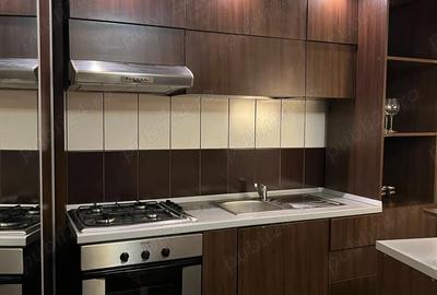 Apartament cu 2 camere decomandat în Parcul Carol - 3