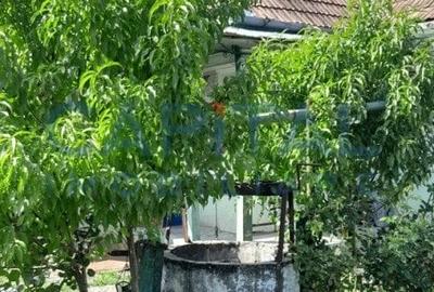 Casa individuala cu 2 camere in Ozd, Mures - 3