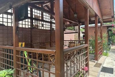 Agentia imobiliara VIGAFON vinde casa 3 camere Paltinis - 14