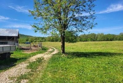 Teren extravilan arabil Tisau, ID: R2590475 - 10