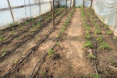 Fermă de vânzare în com. Deleni - DN3 - 10.680 mp - 84 m deschidere - 15