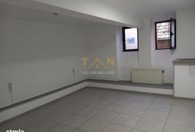 Spațiu comercial, de 100 mp, în Take Ionescu - 15