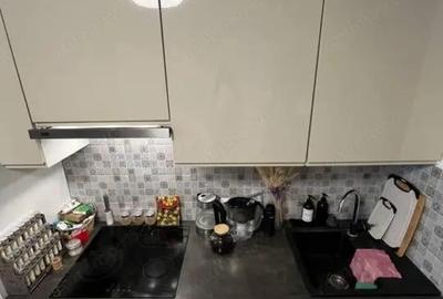 Apartament cu 1 camera de inchiriat in zona Buziasului - 3