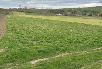 Teren Construcții extravilan de 5000 mp, în Central - 4
