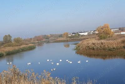 Casa pe malul lacului - 4