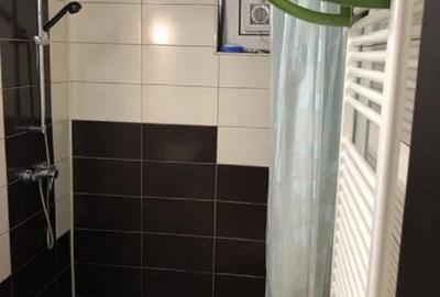 Apartament 1 camera zona Palas Mall - 4