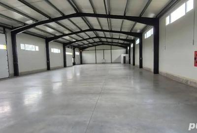 Hala industriala de inchiriat - Zona Aurel Vlaicu - 2