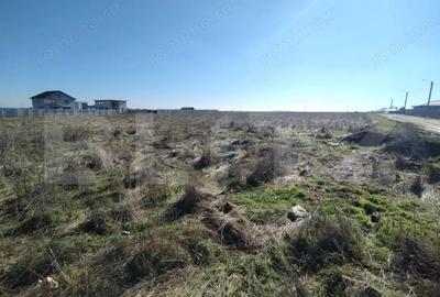 Teren de 7439 mp, în Cârcea - 5