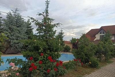 Vila deosebita cu piscina in Buftea - 3