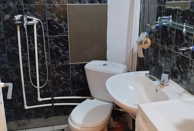 Giurgiului nr. 164, M. Eroii Revolutiei, 20 minute de Piata Unirii cu STB - 6