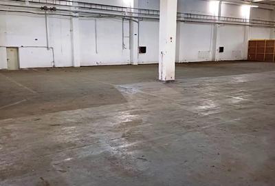 Inchiriere Hala depozitare si productie - 2