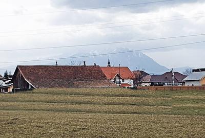 Teren Construcții intravilan de 730 mp, în Cristian - 5