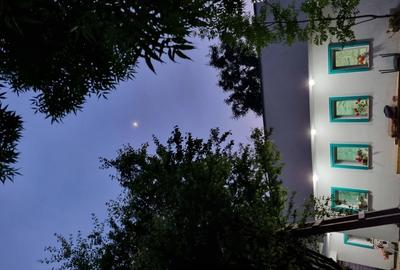 Casă cu 3 camere cu Teren 1470 Mp în Olimp - 3