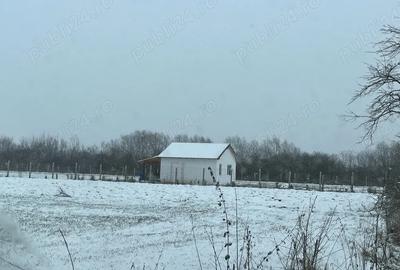 Casă în Mihăești - 3