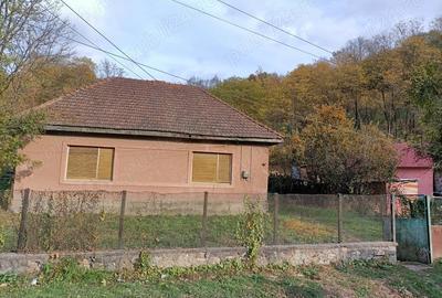 Casă cu 4 camere cu Teren 2878 Mp în Dognecea - 2