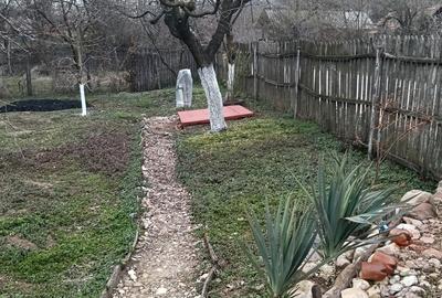 Casă cu 3 camere cu Teren 2800 Mp în Central - 1