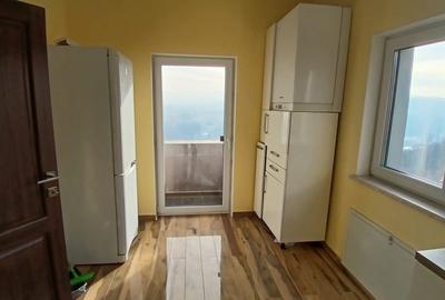 Casă cu 4 apartamente independente în Grigorescu , 260 mp - 6