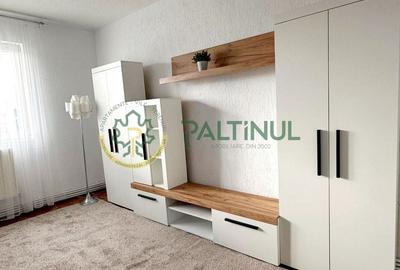 Garsoniera etaj 3 Lazaret- zona Compa - 2