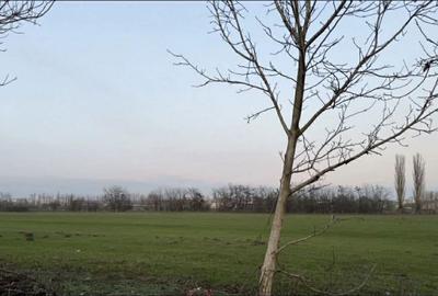 Spațiu comercial, în Bran - 5