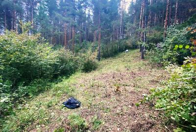 Spațiu comercial, în Mânzălești - 3