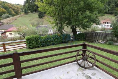 Casa de vacanta/pensiune in Dambovicioara, Arges - 41