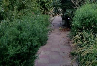 Casă cu 6 camere cu Canalizare în Agigea - 9