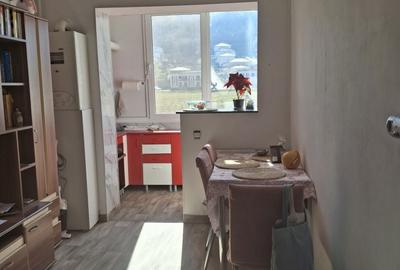Apartament cu 2 camere decomandat în Florești - 8