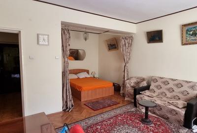 Garsoniera Pajura Vila+centrala - 5