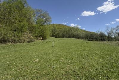 Spațiu comercial, în Făget - 1