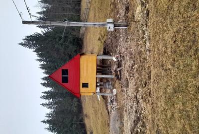 Casă cu 3 camere în Deal - 2