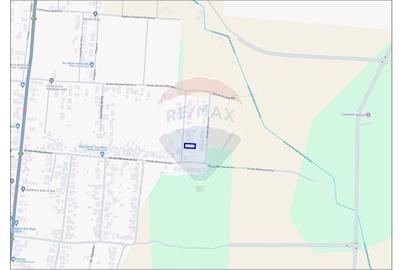 Teren Construcții intravilan de 698 mp, în Nojorid - 3