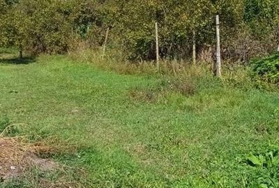 Casă cu 3 camere în Sânandrei - 1