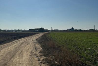 Teren Construcții intravilan de 20000 mp, în Est - 3