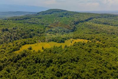 COMISION 0% Teren 1020mp / Intravilan/PUZ/ Grid - 11