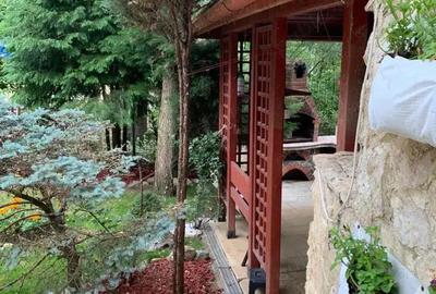 Casa Zona Dealul Malului Ramnicu Valcea - 3