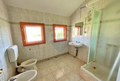 De vanzare pensiunea "Casa Alba" Pecica/Arad. - 8