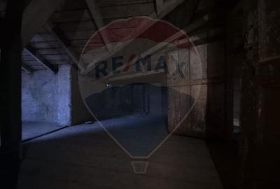 Casa / Vila cu 11 camere de vanzare in zona Iancului - 13