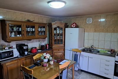 Casa mare cu 2 spatii comerciale, in Faget - 22