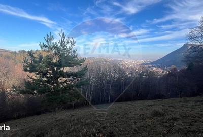 Spațiu comercial, în Schei - 4